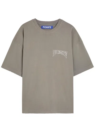 Picante Sacramento Printed Cotton T-shirt In Gray