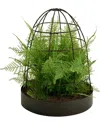 Picnic At Ascot Asparagus Fern Faux Floral Arrangement