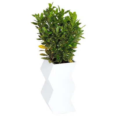Pre-owned Pieces Zig Zag Planter By , White Fiberglass Planter