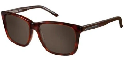 Pierre Cardin P.c. 6171/s Did/ej Occhiali Da Sole Tartarugatishell Per Uomo In Brown