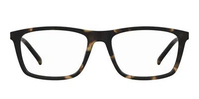 Pierre Cardin P.c. 6254 086 Men's Glasses Tortoiseshell Size 55 - Free Lenses - Blue Light Block Available In Brown