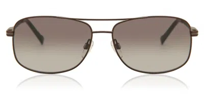 Pierre Cardin P.c. 6839/s Vzh Occhiali Da Sole Marroni Per Uomo In Brown