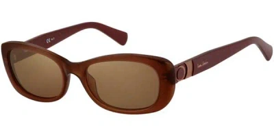Pierre Cardin P.c. 8374/s Bk7/5v Women's Sunglasses Brown Size 52