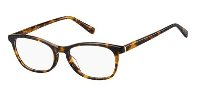 Pierre Cardin P.c. 8488 05l Women's Glasses Tortoiseshell Size 53 - Free Lenses - Blue Light Block Available In Havana