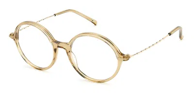 Pierre Cardin P.c. 8509 Women's Glasses, Brown, Size 50