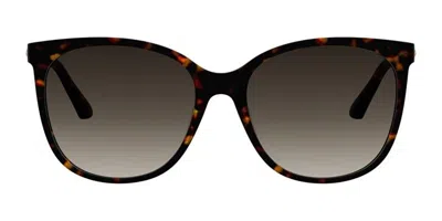 Pierre Cardin P.c. 8526/s 086/ha Women's Sunglasses Tortoiseshell Size 56 In Brown