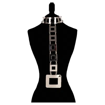 Pre-owned Pierre Cardin Silvery Necklace In Multi