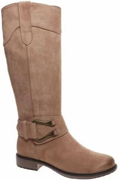 Pierre Dumas Women's Barcelona-31 Tall Boot In Taupe In Grey