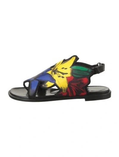 Pre-owned Pierre Hardy Leather Floral Print Flats In Black