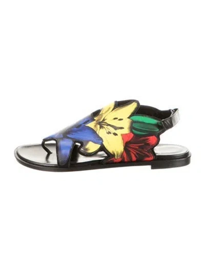 Pre-owned Pierre Hardy Leather Floral Print Sandals In Multicolor