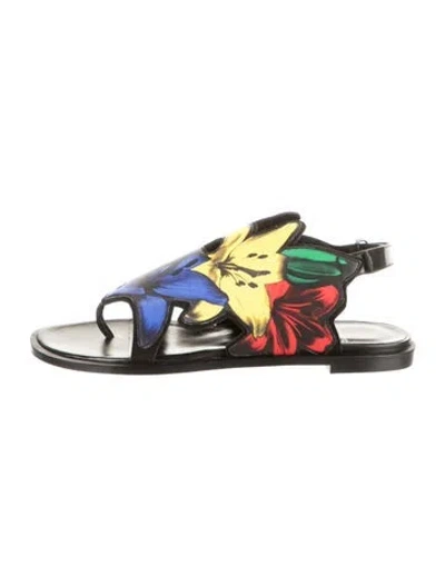 Pre-owned Pierre Hardy Leather Floral Print Sandals In Multicolor
