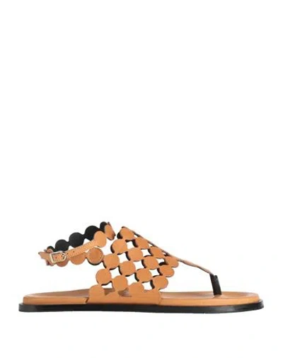 Pierre Hardy Woman Thong Sandal Sand Size 7 Leather In Brown