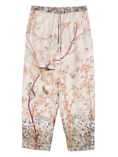 Pierre-louis Mascia Floral And Bird Print Aloe Trousers In Pink