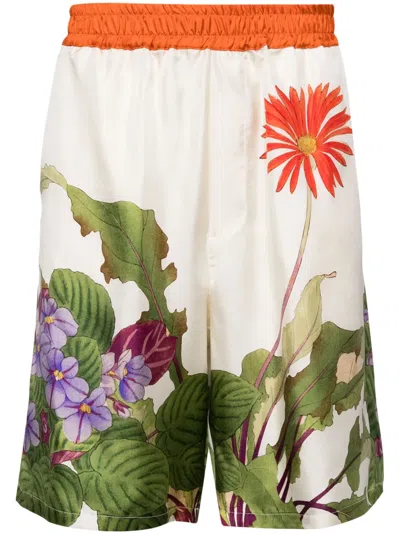 Pierre-louis Mascia Aloe Floral-print Silk Shorts In Neutrals