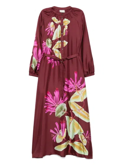 Pierre-louis Mascia Floral-print Maxi Dress In Burgundy
