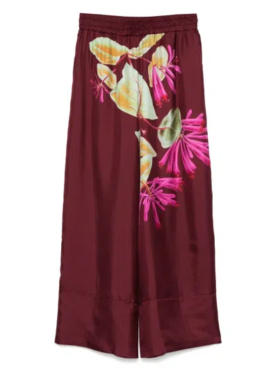 Pierre-louis Mascia Floral-print Trousers In Red
