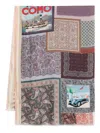 Pierre-louis Mascia Pierre Louis Mascia Lago Di Como Silk Printed Scarf In Multi