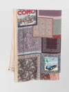 Pierre Louise Mascia Como Lake Silk Printed Scarf
