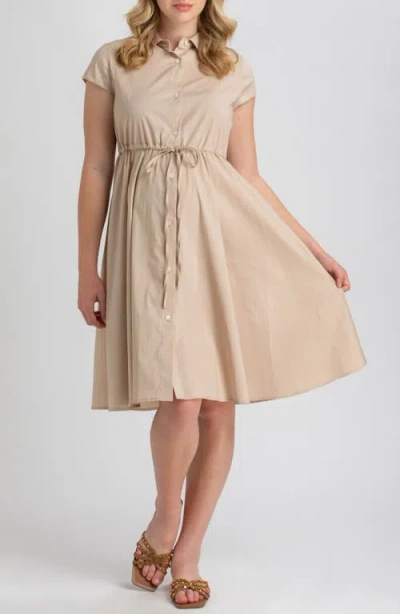Pietro Brunelli Maternity Button Down Maternity Shirtdress