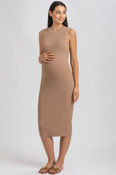 Pietro Brunelli Maternity Maternity Sleeveless Fitted Rib Knit Iris Dress In Moonlight Rock