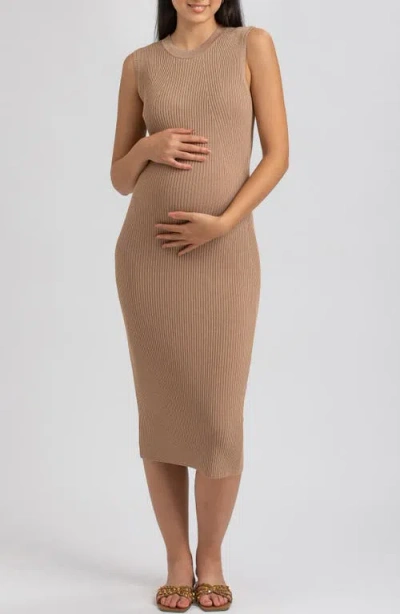 Pietro Brunelli Maternity Maternity Sleeveless Fitted Rib Knit Iris Dress In Moonlight Rock