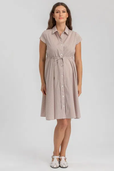 Pietro Brunelli Maternity Viola Button Down Striped Maternity Shirtdress In Taupe Stripes