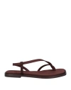 Piferi Pīferi Woman Thong Sandal Chocolate Brown Size 8 Rubber In Brown