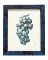Pigeon & Poodle Colmar Dark Blue Shell Picture Frame, 8" X 10"