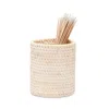 Pigeon & Poodle Dalton Toothbrush Holder In Whitewashed