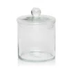 Pigeon & Poodle Darby Large Container In Clear