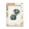 PIGEON & POODLE ESSEN HORN FRAME, 5 X 7