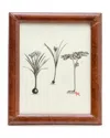 Pigeon & Poodle Eton Leather Frame, 8x10 In Tobacco