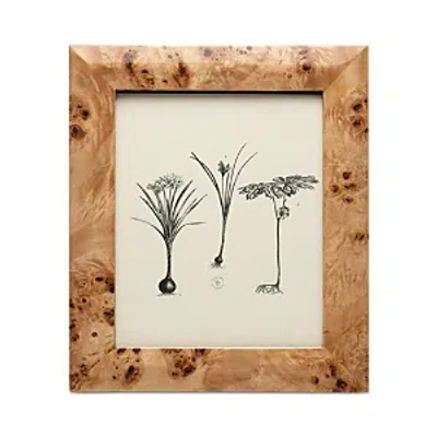 Pigeon & Poodle Narvik Dark Brown Burl Frame, 8 X 10