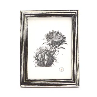 Pigeon & Poodle Steinfeld Lacquered Frame, 5 X 7 In Black