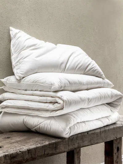 Piglet In Bed Wool Pillow Light Weight In White