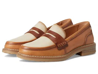 Pikolinos Aldaya W8j-3541c3 In Brown