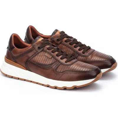Pikolinos Aranda Trainer In Cuero