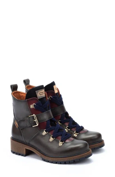 Pikolinos Aspe Bootie In Gray
