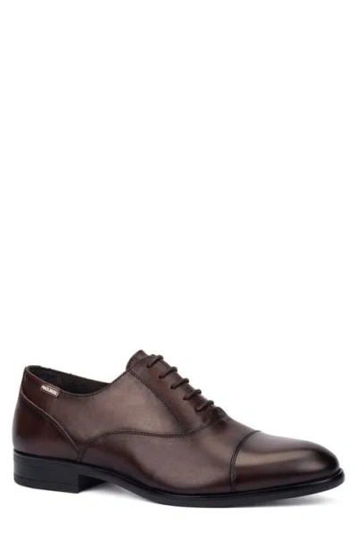 Pikolinos Bristol Cap Toe Oxford In Brown