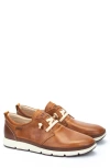 Pikolinos Fuencarral Sneaker In Brandy