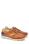 Pikolinos Fuencarral Sneaker In Brandy