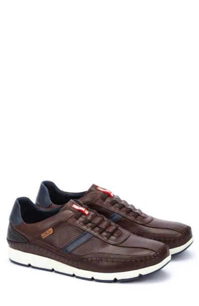Pikolinos Fuencarral Trainer In Olmo