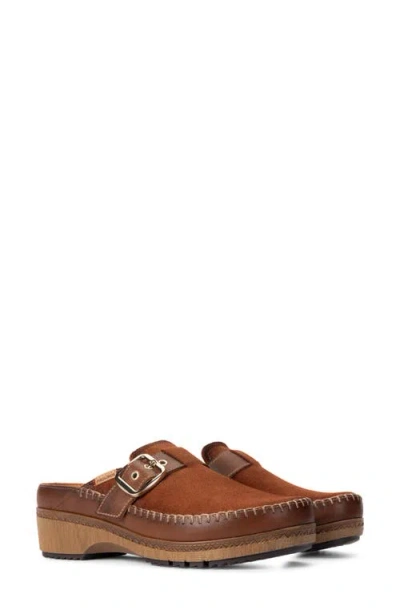 Pikolinos Granada Leather Clog In Brown