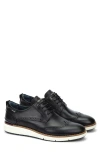 Pikolinos Manacor Wingtip Oxford In Black