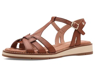 Pikolinos Roquetas W9b In Brown