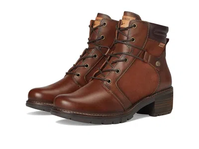 Pikolinos San Sebastia W1t-8979c1 In Brown