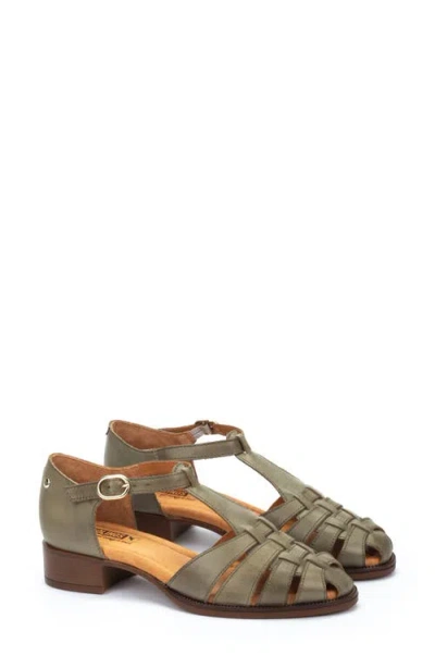 Pikolinos Valencia T-strap Sandal In Sage