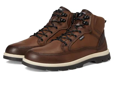 Pikolinos Vigo M3m-8107c1 In Brown