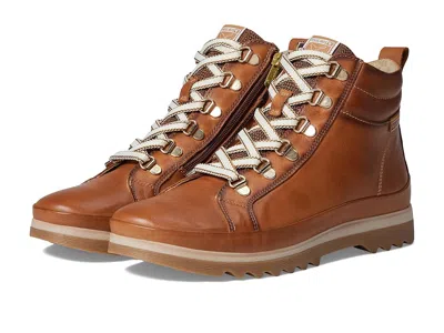 Pikolinos Vigo W3w-8564 In Brown