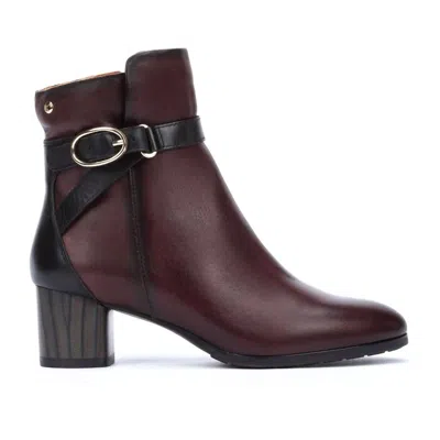 Pikolinos Women's Ankle Boots With Buckle In Caoba In Multi